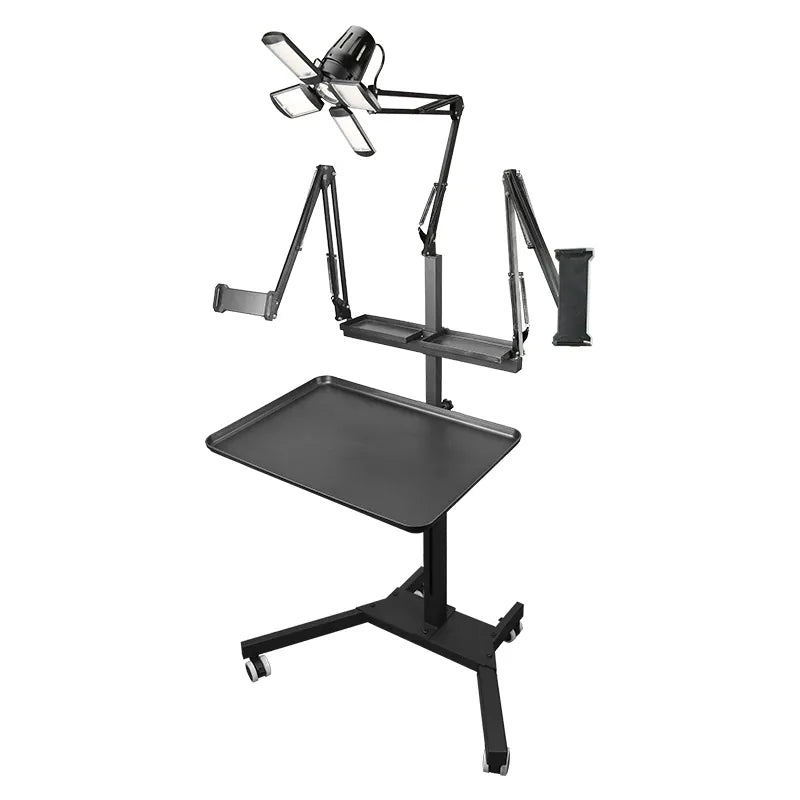 TAIDU PROMOTION MULTI-FUNCTIONAL DOUBLE HOLDER TATTOO BENCH WITH LIGHT
