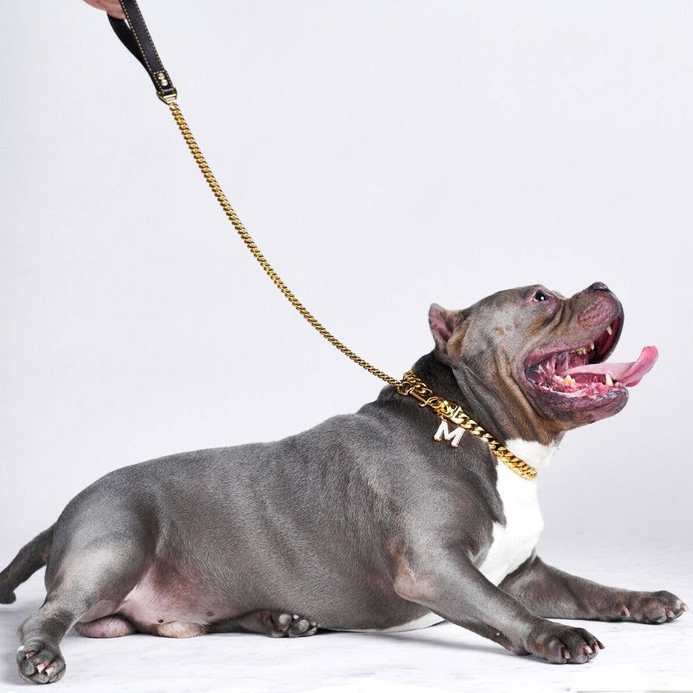 Cuban Link Gold Dog Leash: 35in/90cm length x 14mm width